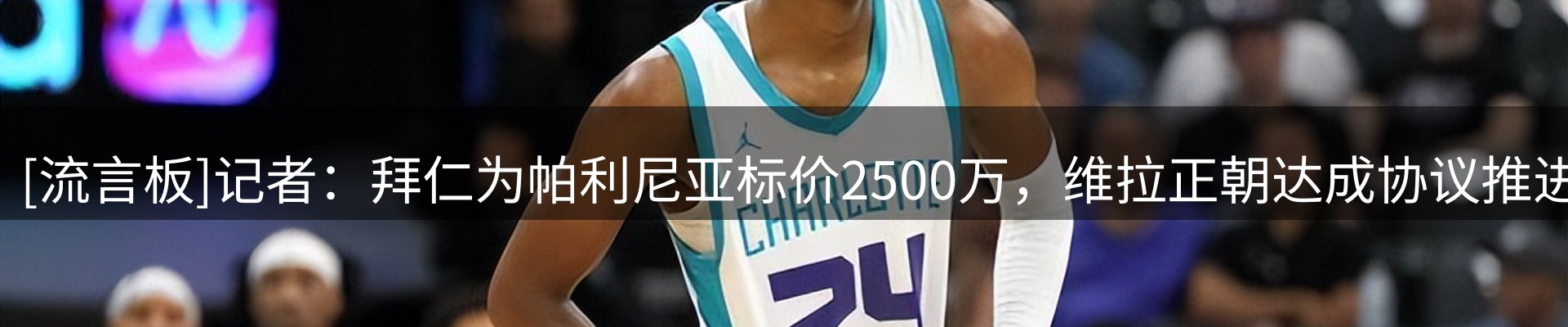 球盟会要闻